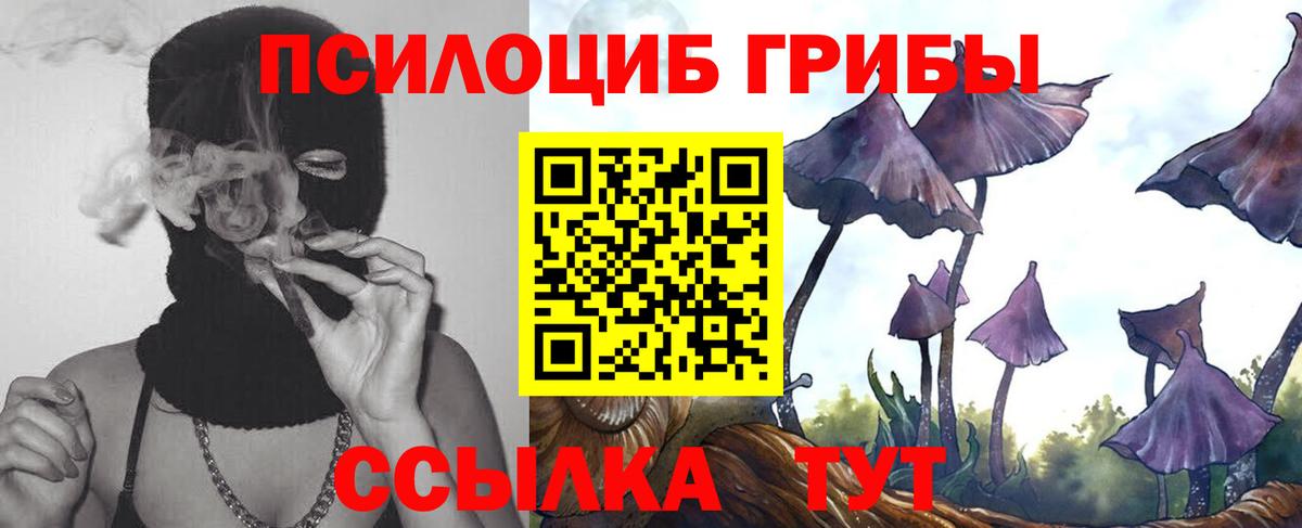 Псилоцибиновые грибы ЛСД Богданович
