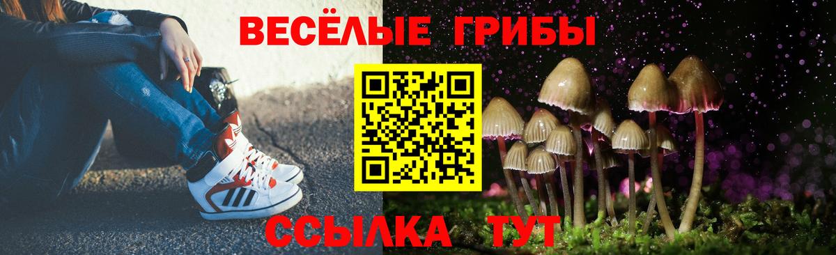 Псилоцибиновые грибы Magic Shrooms  Вход с VPN  Богданович  Галлюциногенные грибы Psilocybe 